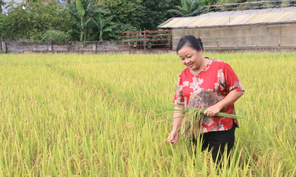 Quảng Ninh có 1 cá nhân được tôn vinh là Nhà khoa học của nhà nông