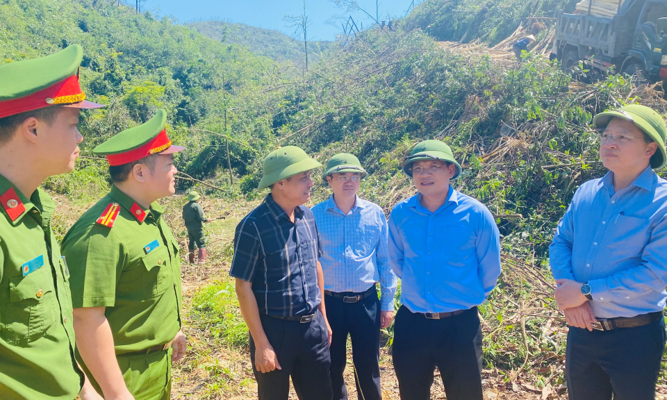 Các địa phương đẩy nhanh tiến độ kiểm đếm và triển khai đợt cao điểm thu dọn, vệ sinh rừng
