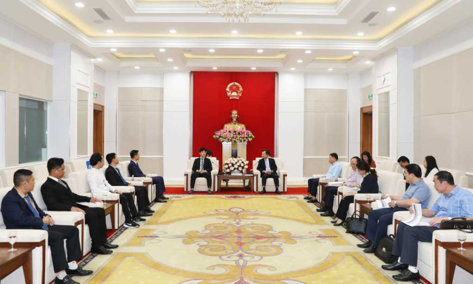 韩国投资商在广宁省市场寻找投资机遇