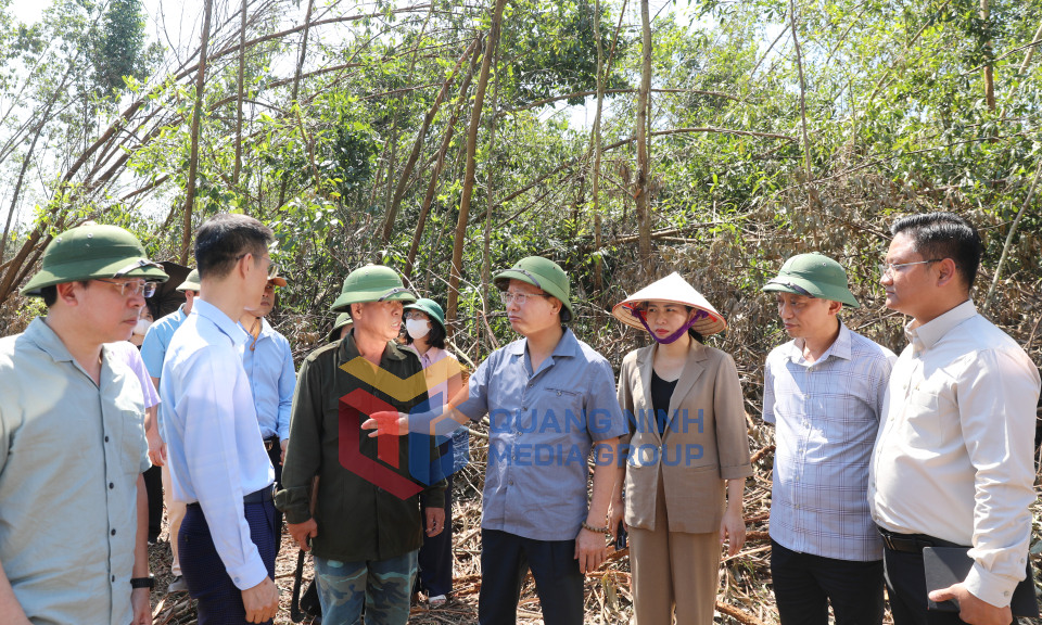 Chủ tịch UBND tỉnh Cao Tường Huy, đi kiểm tra công tác khắc phục sau bão số 3 tại huyện Bình Liêu, tháng 9-2024