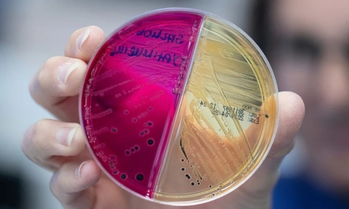 5 nghiên cứu tiềm năng đoạt giải Nobel