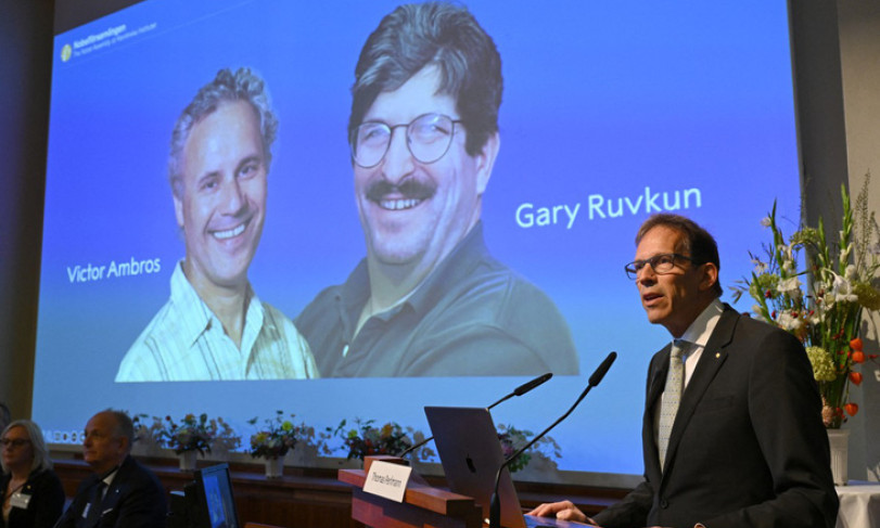 Nobel y sinh vinh danh nghiên cứu về điều hòa gene