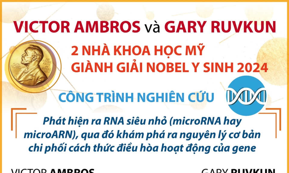 Hai nhà khoa học Mỹ được vinh danh với Giải Nobel Y sinh 2024