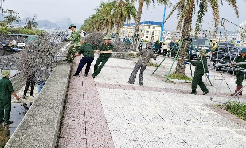 Hội Cựu chiến binh tỉnh chung tay thực hiện công tác an sinh xã hội