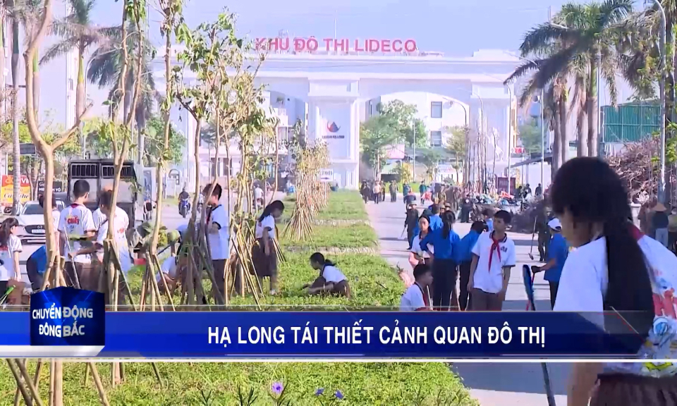 Hạ Long tái thiết cảnh quan đô thị