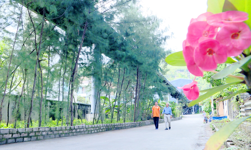 TKV nỗ lực bảo vệ môi trường