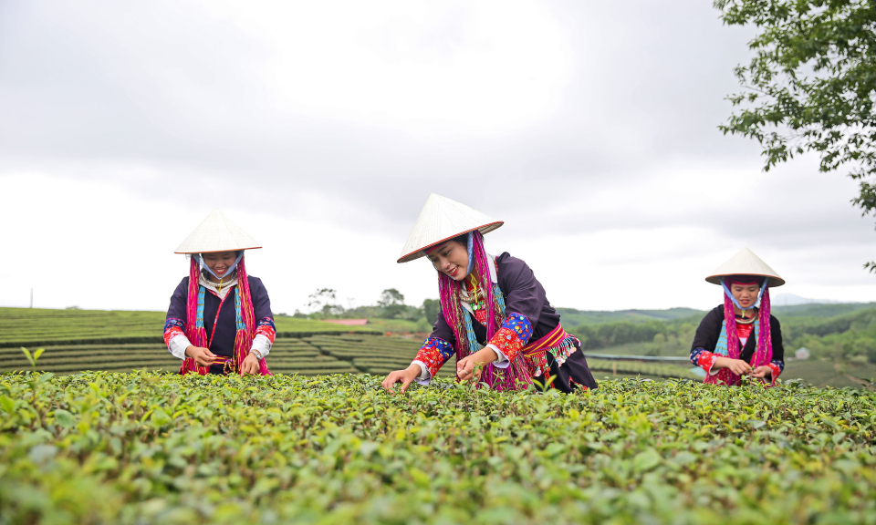 Bản tin Quảng Ninh ngày 09/10/2024