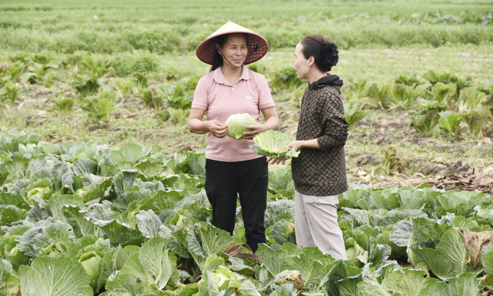 Sôi nổi các phong trào thi đua hướng về ngày 20/10