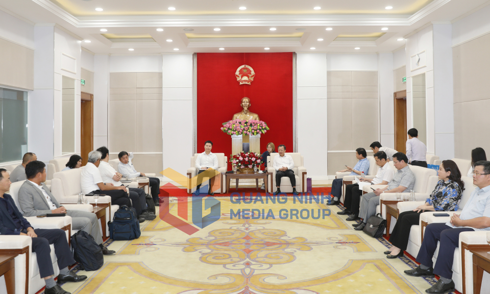 Chủ tịch UBND tỉnh Cao Tường Huy tiếp xã giao các nhà đầu tư nước ngoài, tháng 10-2024