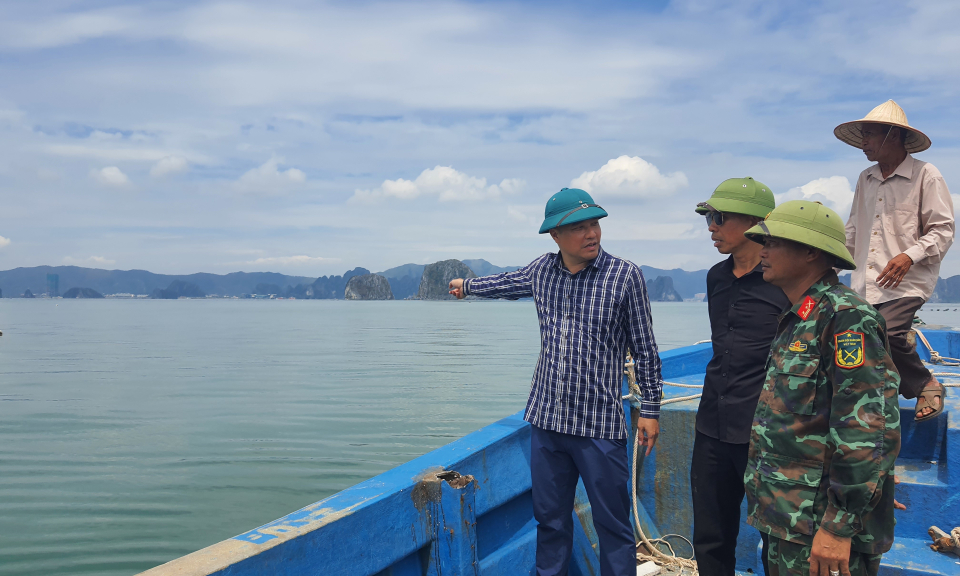 Vân Đồn phục hồi nuôi trồng thuỷ sản trên biển