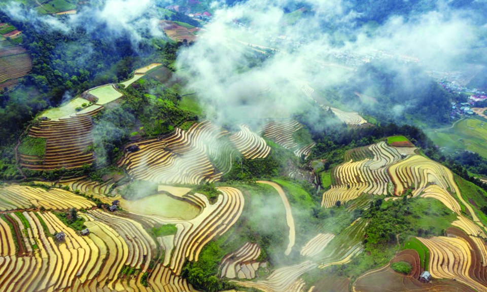 越南高山地区梯田