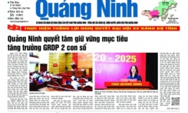 Thẩm định giá in các số báo Quảng Ninh, báo Hạ Long năm 2025