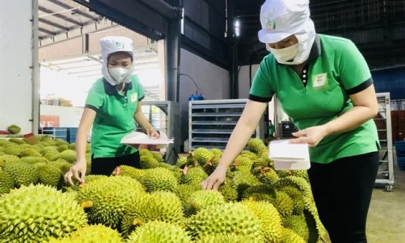 Vietnam's trade turnover poised to hit 800 billion USD mark 