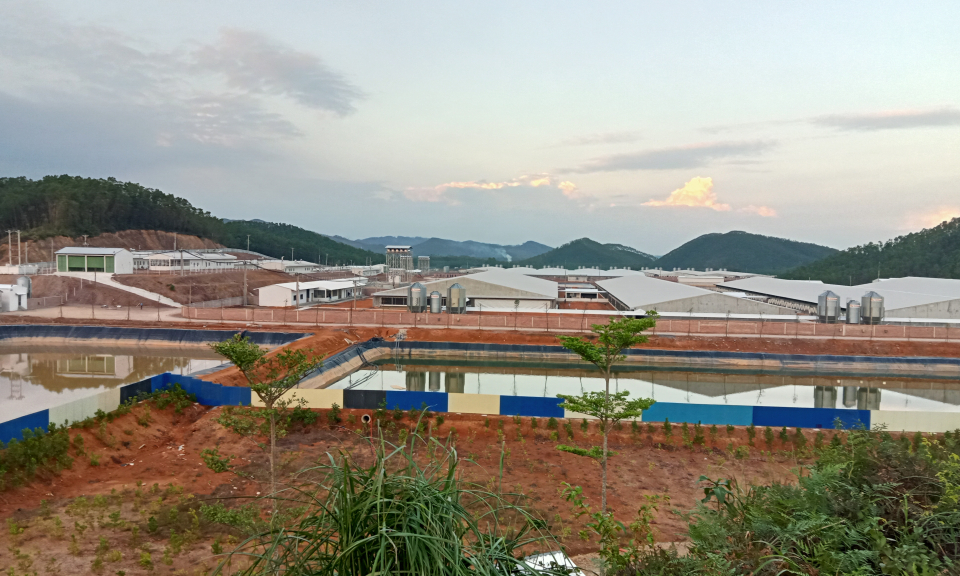 Chuẩn bị vận hành trang trại chăn nuôi lợn công nghệ cao lớn nhất miền Bắc