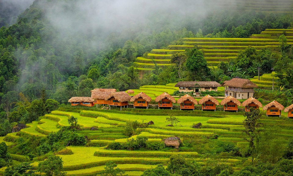 Bản tin vùng Đông Bắc ngày 17/10/2024