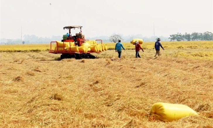 Low interest loan programme launched for high-quality rice cultivation 