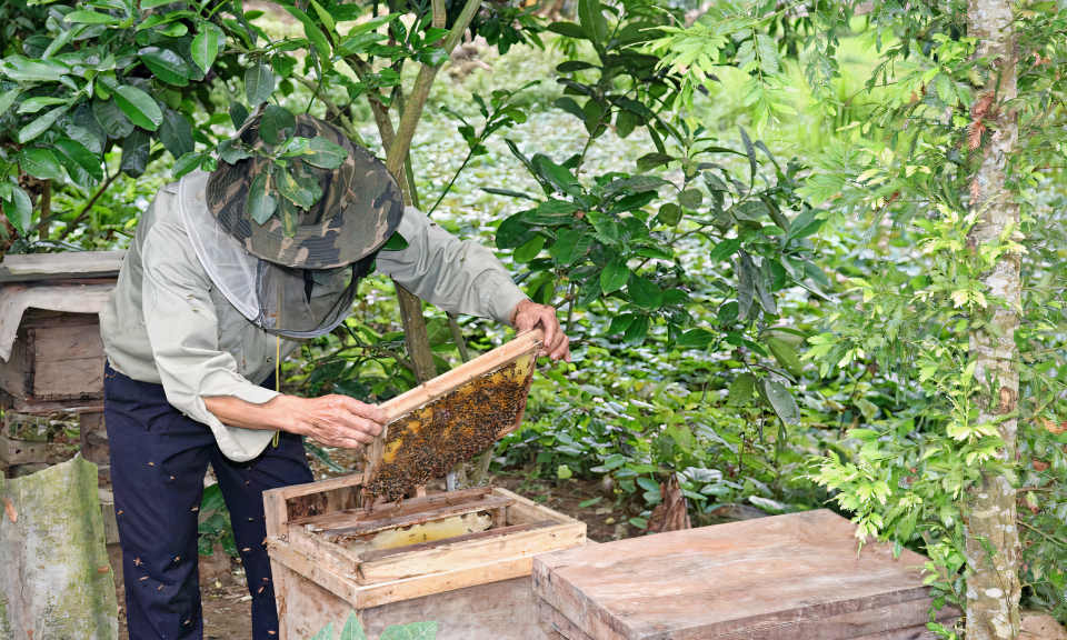 Sức sống mới vùng dân tộc thiểu số