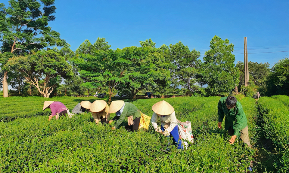 Nâng cao chất lượng đời sống nhân dân nông thôn
