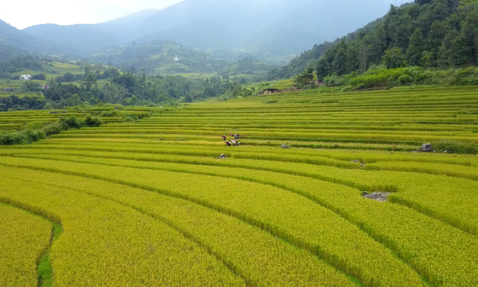 Bình Liêu: Khai thác hiệu quả 3 "trụ cột" thiên nhiên, văn hóa, con người