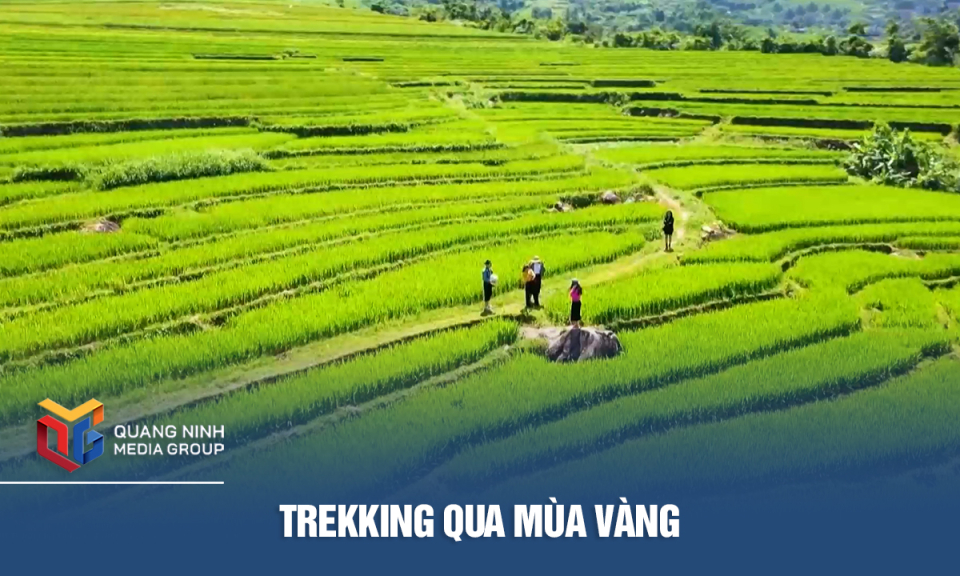 Trekking qua mùa vàng