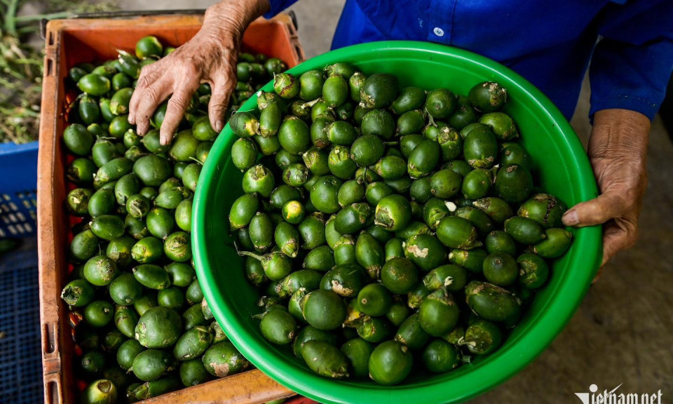 Trung Quốc mua cau giá rẻ làm kẹo, đưa ngược sang chợ Việt bán 3,3 triệu/kg