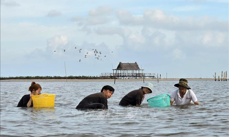 Trải nghiệm du lịch sinh thái ở Mũi Cà Mau