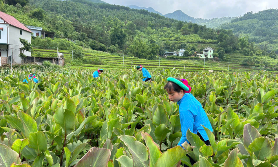  Quan tâm chính sách dân tộc trong tình hình mới