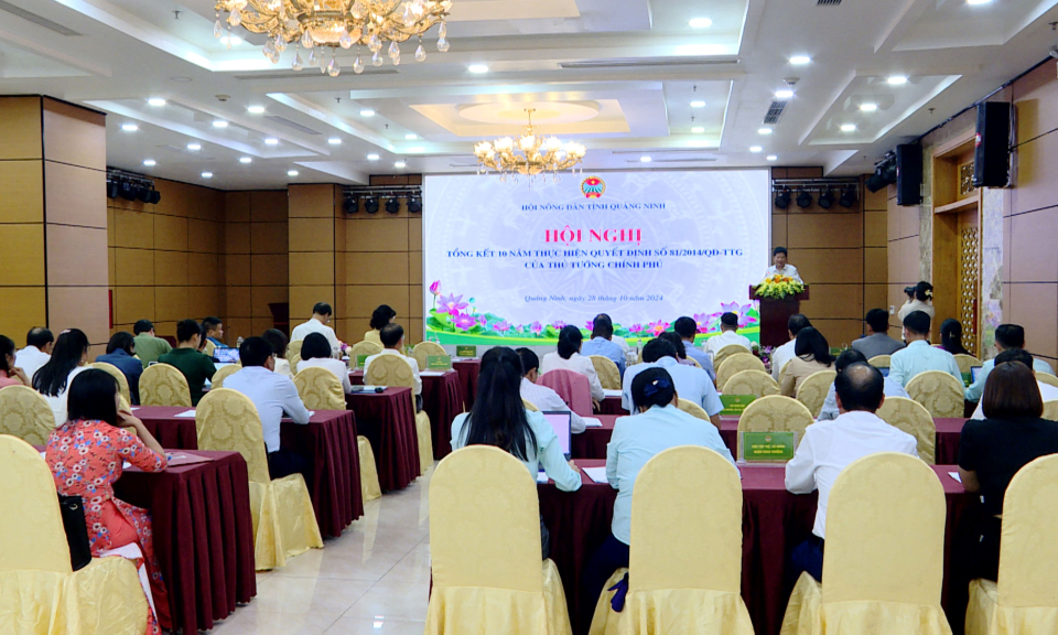 Tổng kết Quyết định số 81 của Thủ tướng Chính phủ