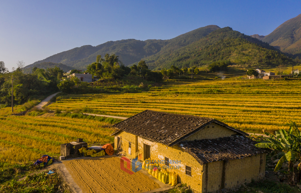 Bình yên mùa lúa chín, anh giang, bình liêu