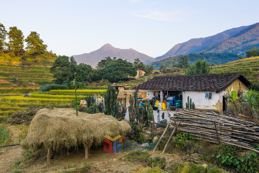 rơm được phơi khô , anh giang, bình liêu