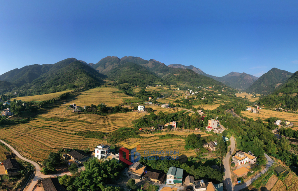 Mùa vàng tại Húc Động Bình Liêu, anh giang, bình liêu