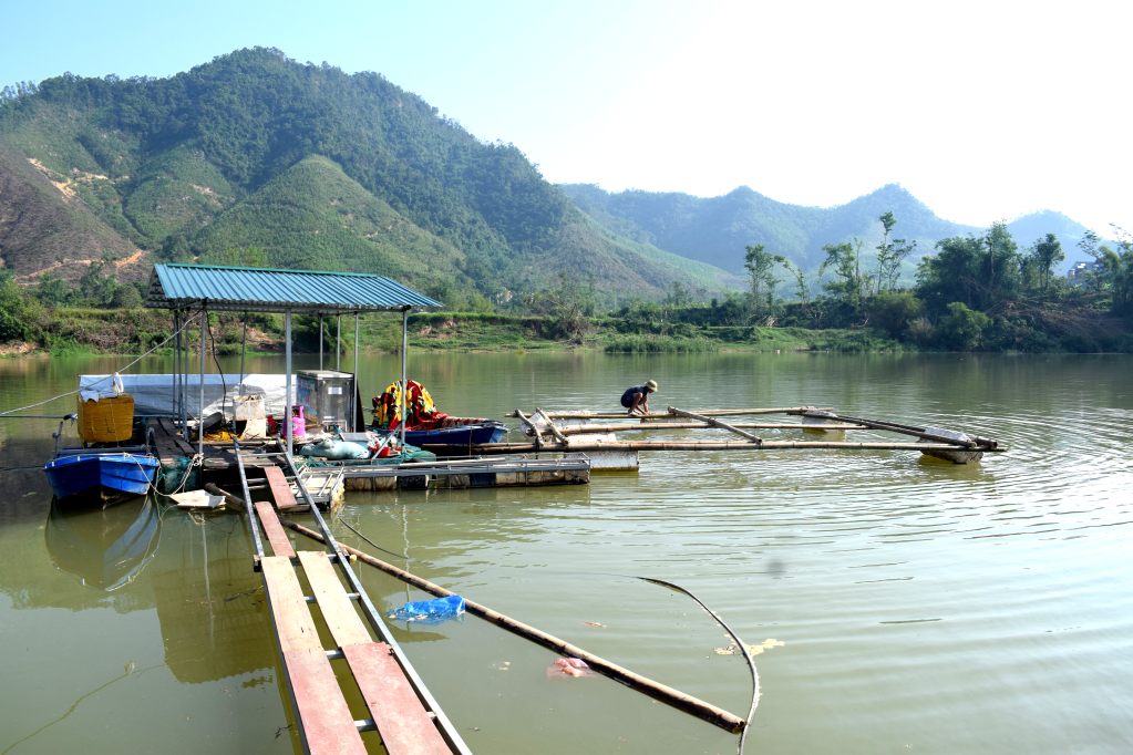 Anh Lê Văn Quân giờ chuyển sang nghề nuôi tôm càng trên sông Ba Chẽ do lượng cà ra đánh bắt ngày càng ít đi