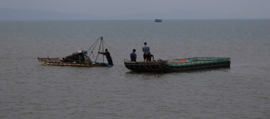 Máy đánh ngao gồm hệ thống máy nổ kết nối với cào và 1 bè mảng