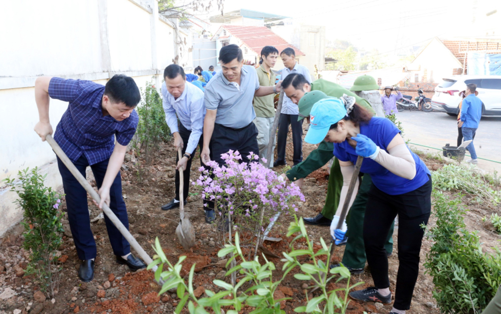 Cán bộ, nhân dân khu phố 5, phường Hà Khẩu, tích cực trồng hoa, cây xanh