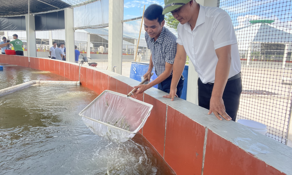 Phấn đấu nông nghiệp hiện đại, nông dân giàu có