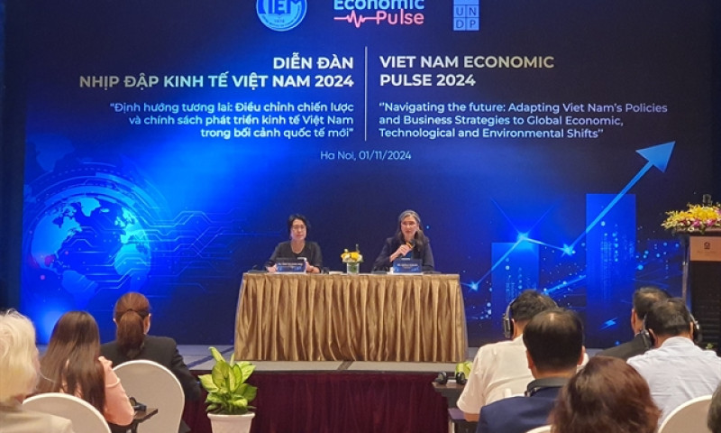 Việt Nam shows resilience amid global challenges, but much work remains to be done: experts