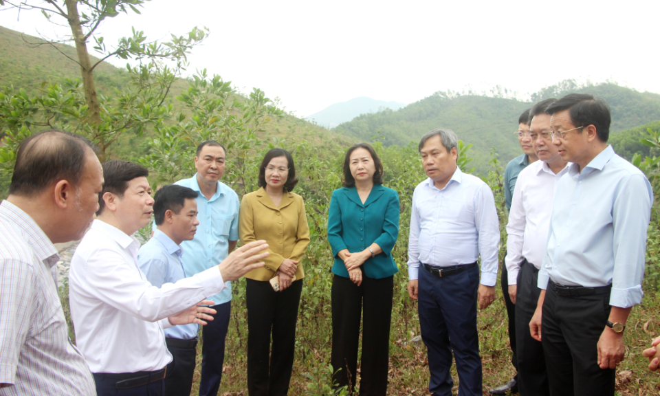 Đồng chí Bí thư Tỉnh ủy Vũ Đại Thắng kiểm tra, làm việc tại huyện Ba Chẽ