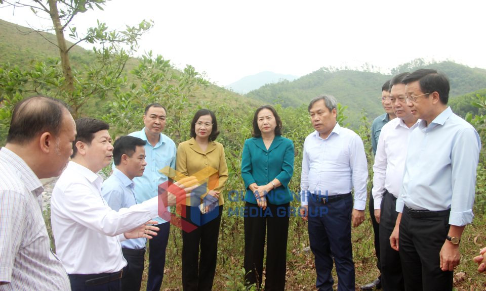 Bí thư Tỉnh ủy Vũ Đại Thắng kiểm tra, làm việc tại huyện Ba Chẽ, tháng 11-2024