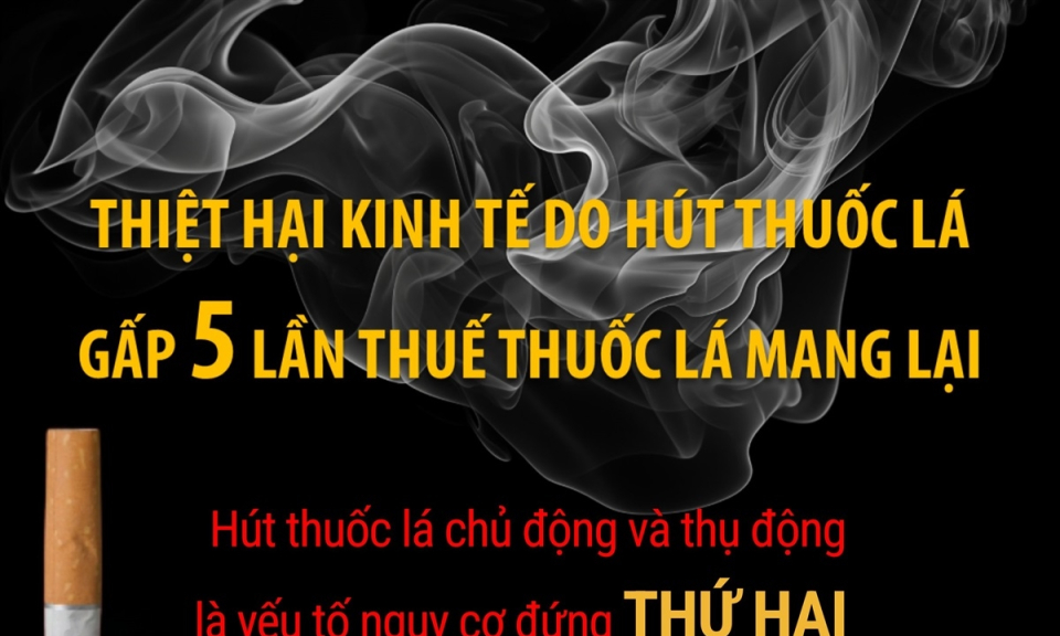 Thiệt hại kinh tế do hút thuốc lá gấp 5 lần thuế thuốc lá mang lại