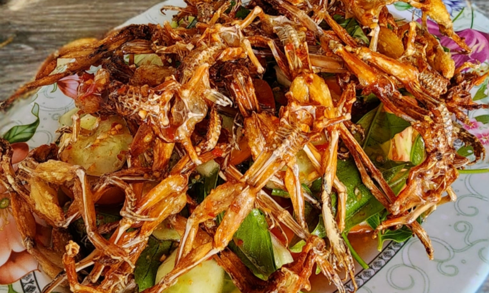 Món 'vũ nữ chân dài' ở An Giang đắt ngang tôm hùm, khách ăn sạch cả xương