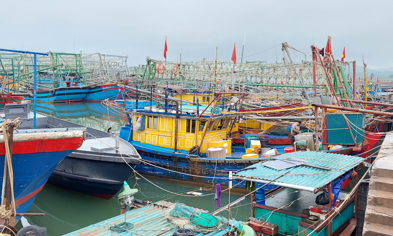 Đội tàu khai thác vùng lộng, vùng khơi phát huy hiệu quả