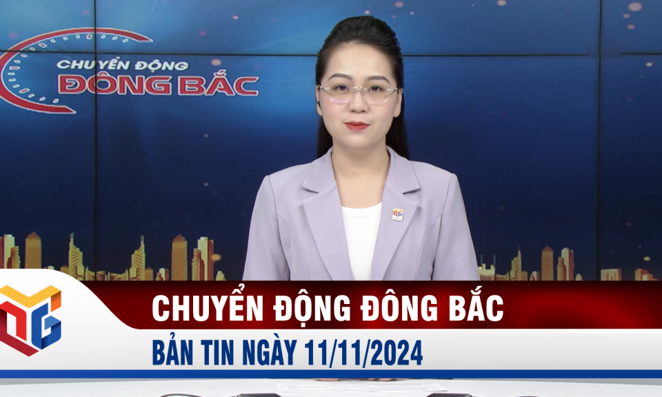 Chuyển động Đông Bắc ngày 11/11/2024