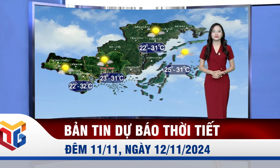 Dự báo thời tiết đêm 11, ngày 12/11/2024