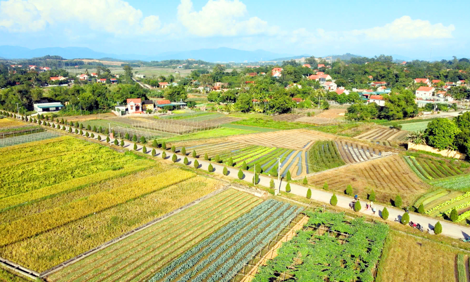 Từ vùng đất ven biển thành "vựa rau" lớn nhất tỉnh 