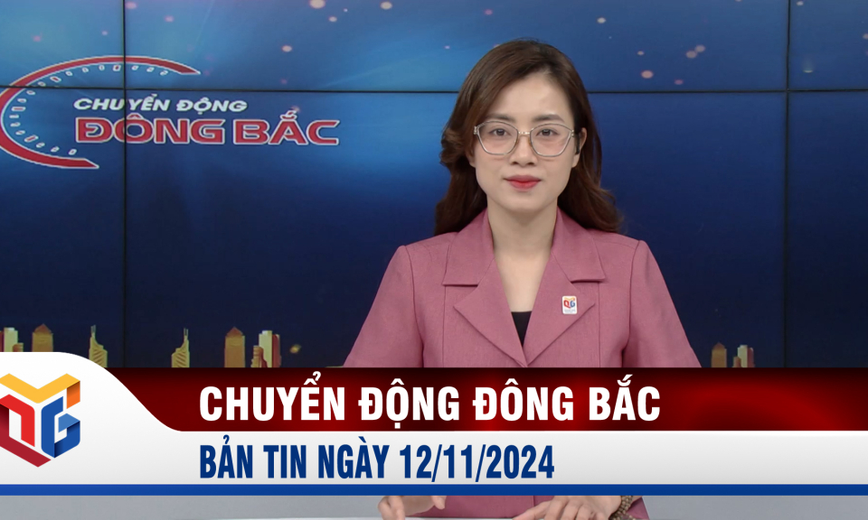 Chuyển động Đông Bắc ngày 12/11/2024