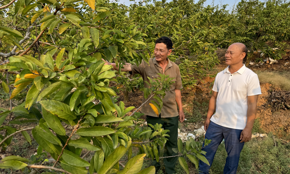 Hạ Long phát huy vai trò người cao tuổi 