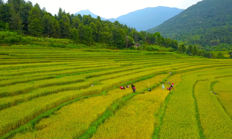 Phát triển du lịch tại vùng Đông Bắc