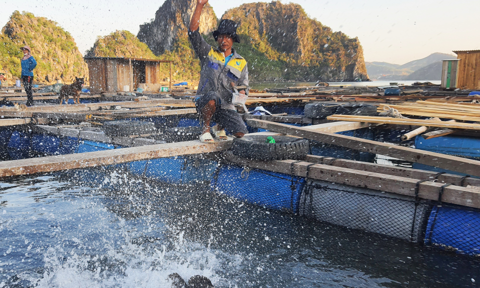 Kiên định với nghề nuôi biển