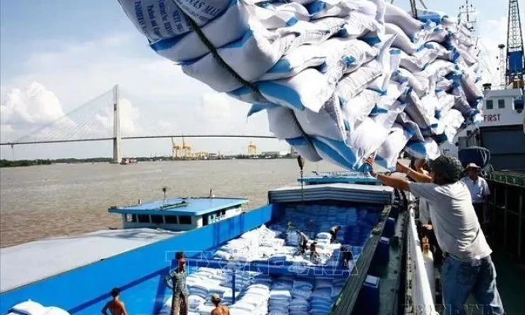 Vietnam to set new record in rice exports in 2024 