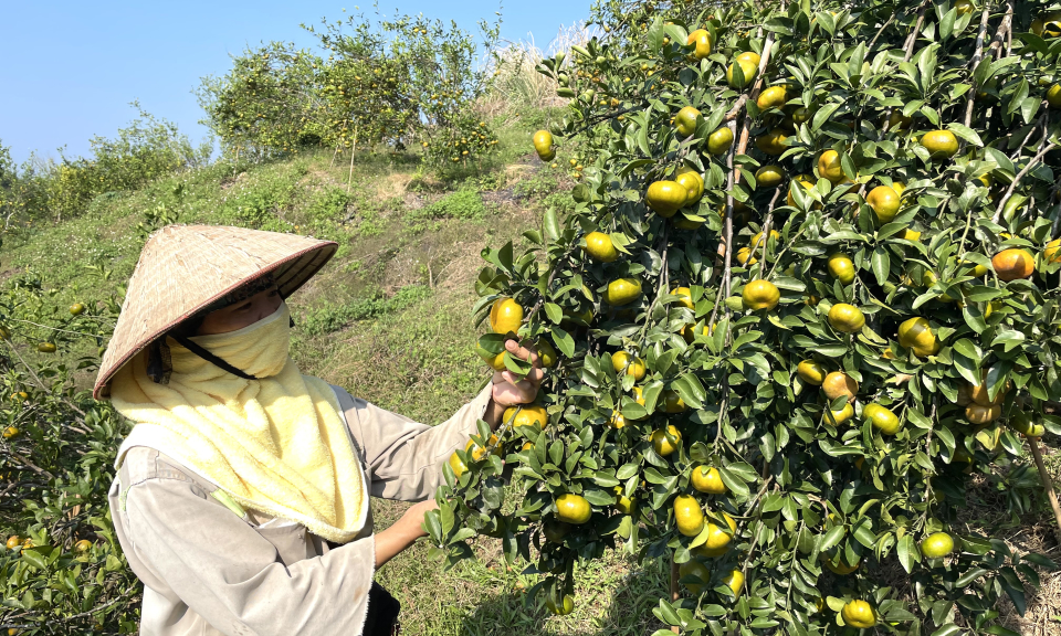 Vân Đồn: Chung sức xây dựng nông thôn mới